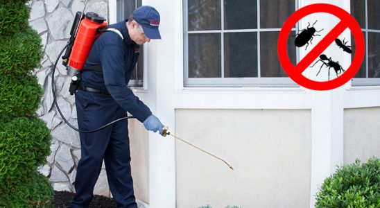 Bostanlı Pire İlaçlama böcek ilaçlama ve haşere kontrolü — ilaclama-tr.com